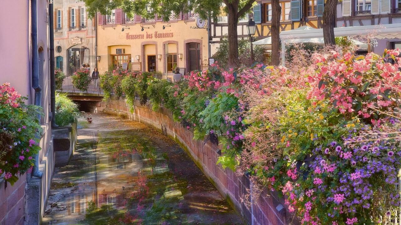 Residences Du Theatre Colmar Bagian luar foto