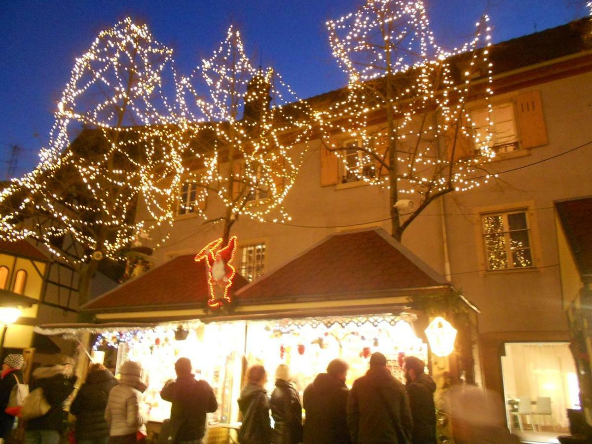Residences Du Theatre Colmar Bagian luar foto